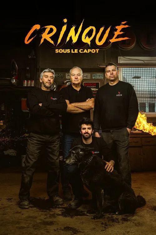 Crinqué : sous le capot tv show poster