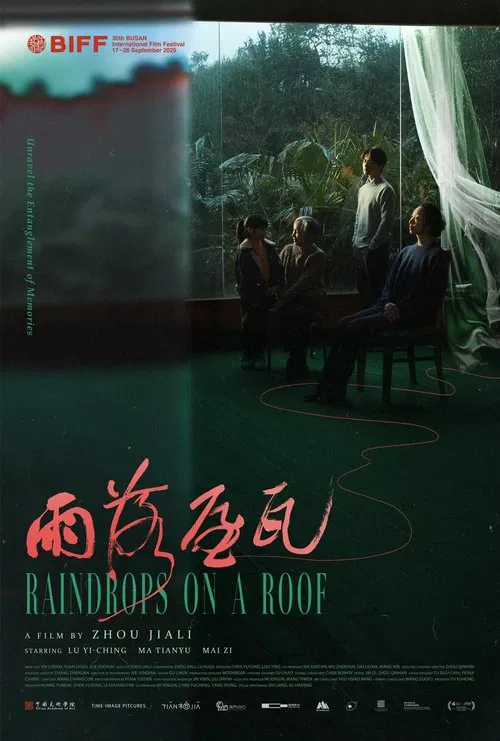 Raindrops on a Roof movie poster