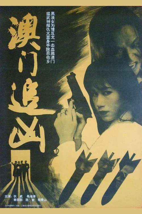Poster do filme 澳门追凶