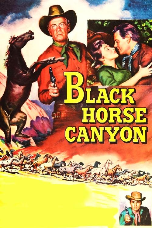 Black Horse Canyon movie poster