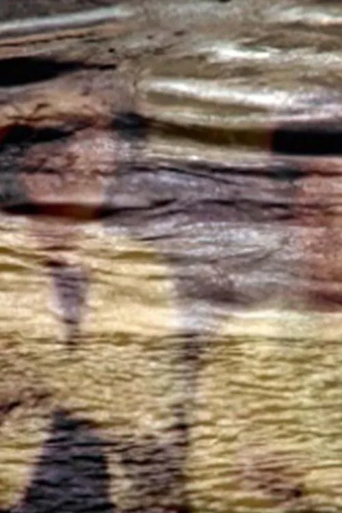 Maelstrom movie poster