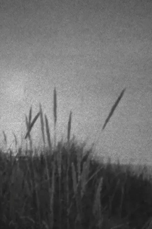 A Storm at Sea movie poster