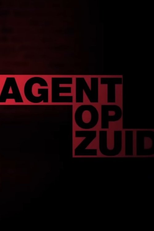 Wijkagent op Zuid tv show poster