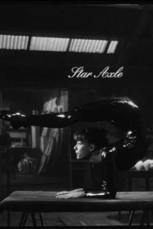 13 figures de Sarah Beauchesne au 71, rue Blanche movie poster