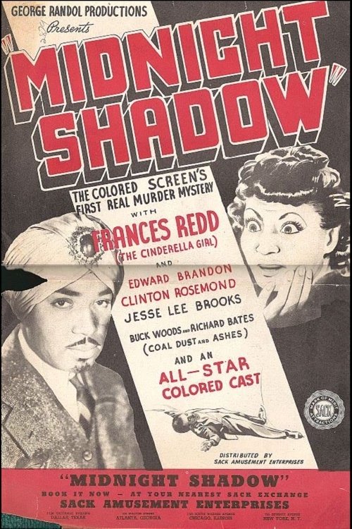 Midnight Shadow movie poster