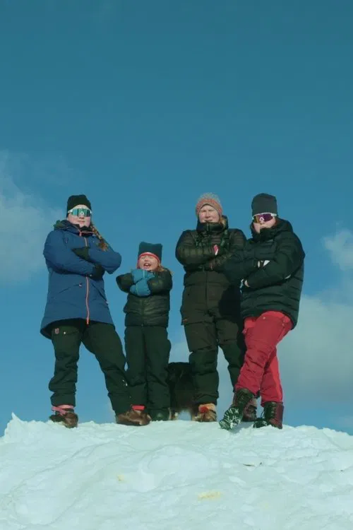 Svonni vs the Swedish Tax Agency movie poster