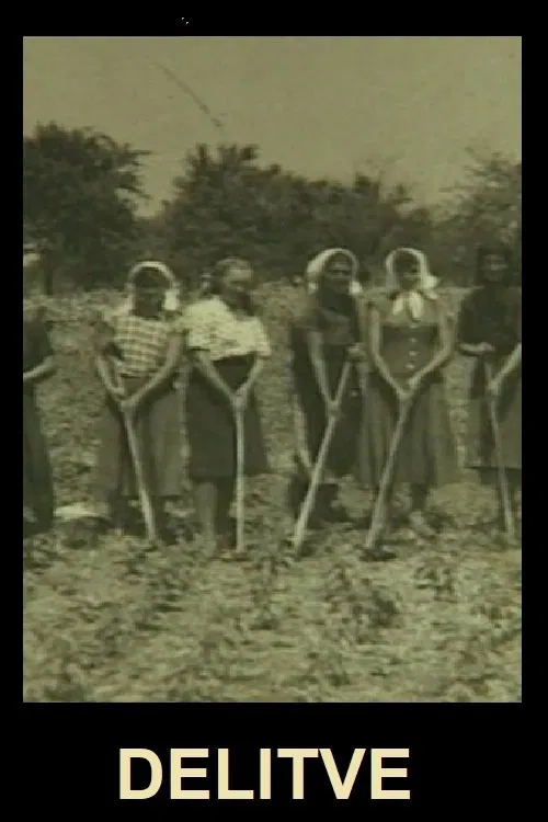 Divisions movie poster