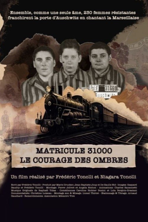 Matricule 31000, le courage des ombres movie poster