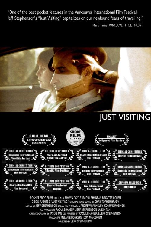 Just Visiting movie poster