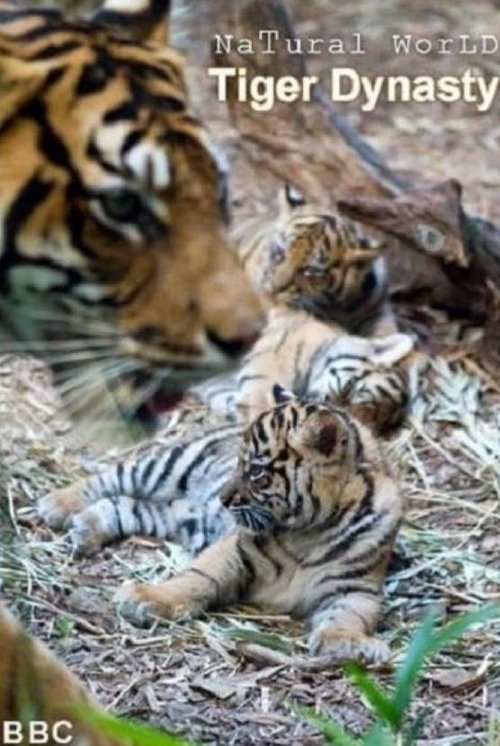 Tiger Dynasty movie poster