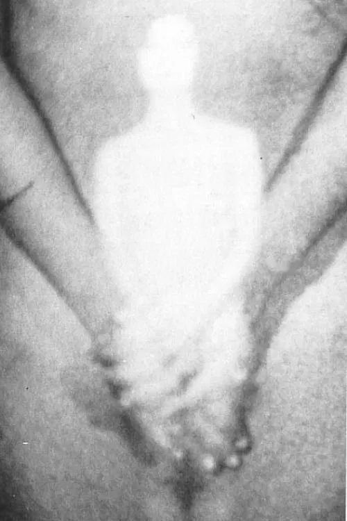 Feedback movie poster