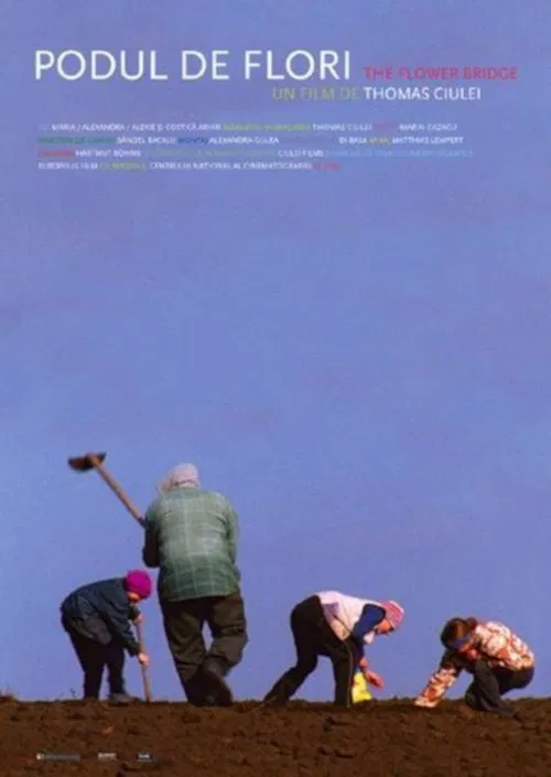 The Flower Bridge movie poster