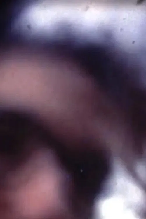 Camera Annihilator movie poster