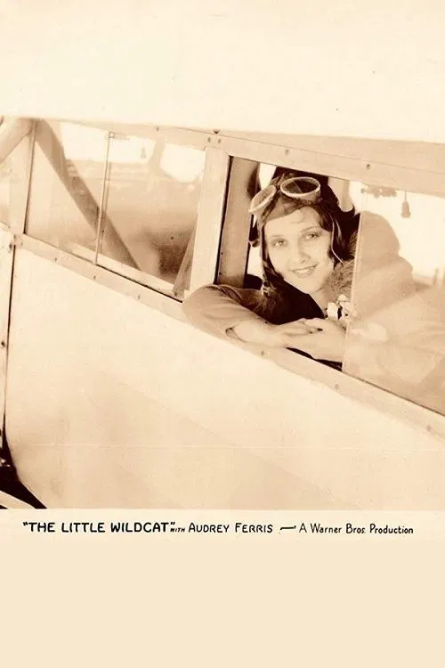 The Little Wildcat movie poster
