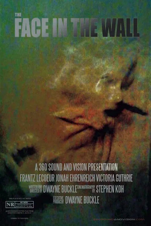 The Face in the Wall movie poster