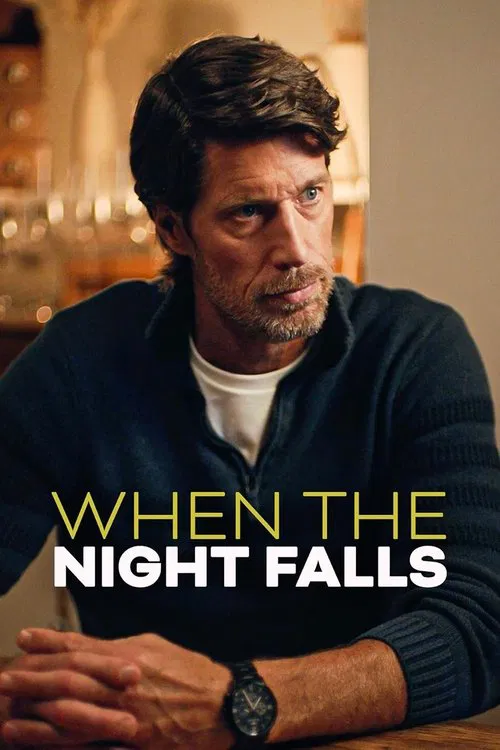 When the Night Falls movie poster