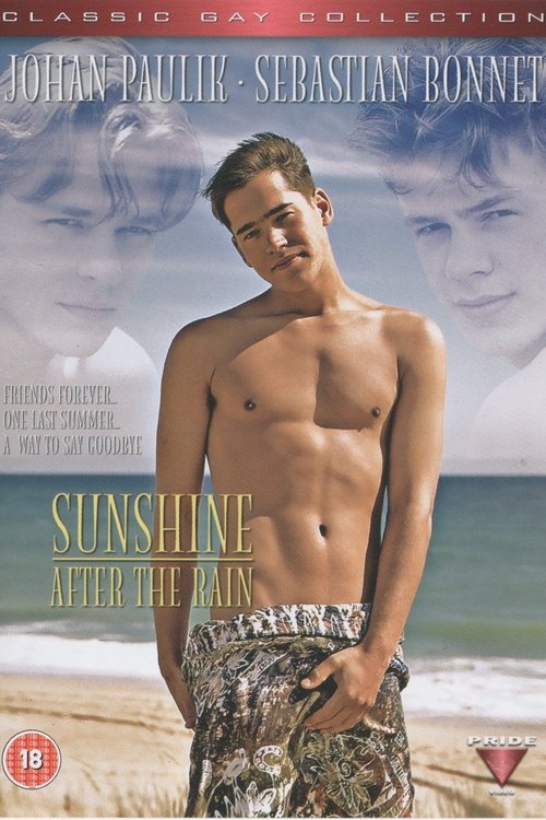 Sunshine After the Rain movie poster