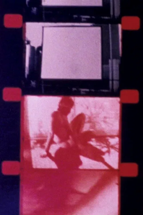 Poster do filme NYC