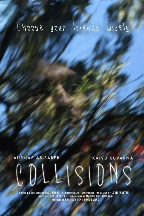 Collisions movie poster