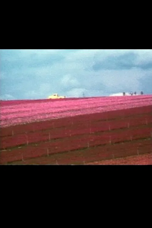 Poster do filme Flower Fields