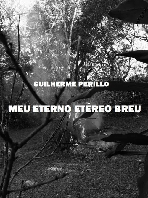 Poster do filme Meu Eterno Etéreo Breu