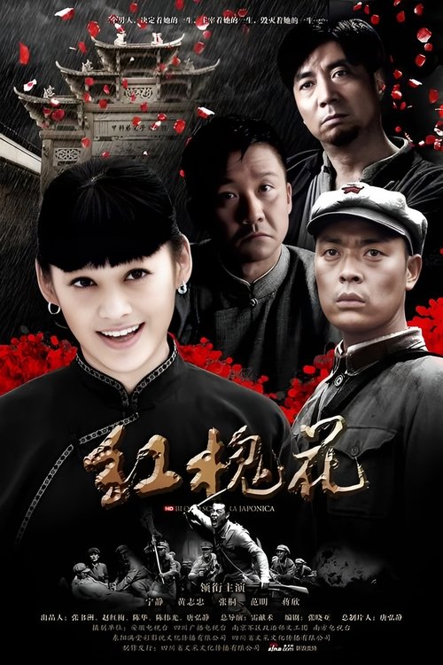 红槐花 tv show poster