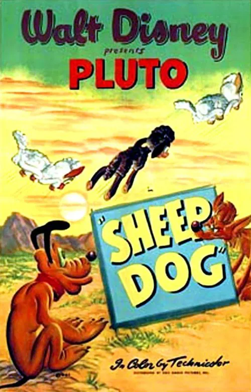 Poster do filme Sheep Dog
