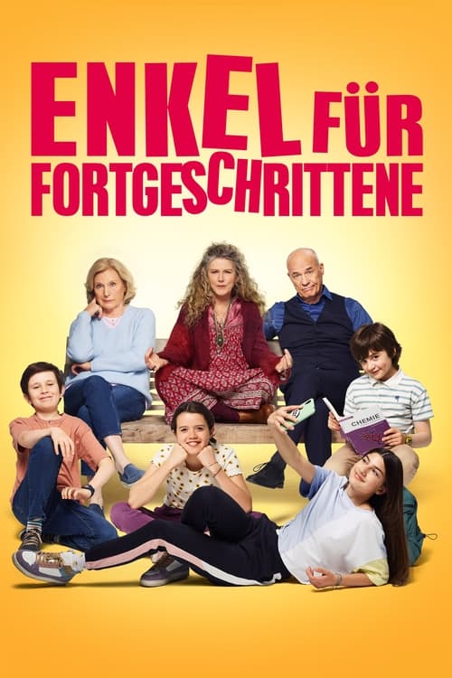 Enkel für Fortgeschrittene movie poster