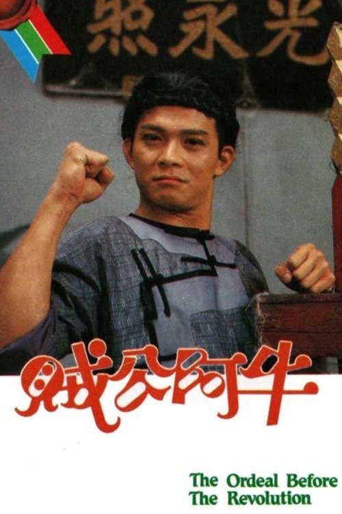 The Ordeal Before The Revolution tv show poster