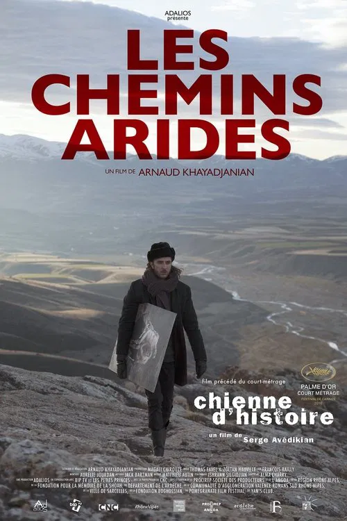 Stony Paths movie poster