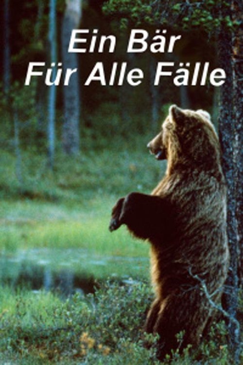 Ein Bär für alle Fälle movie poster