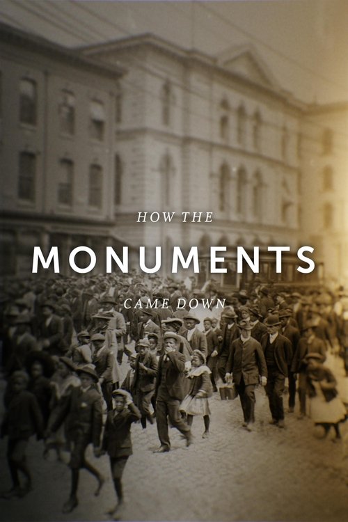 How the Monuments Came Down movie poster