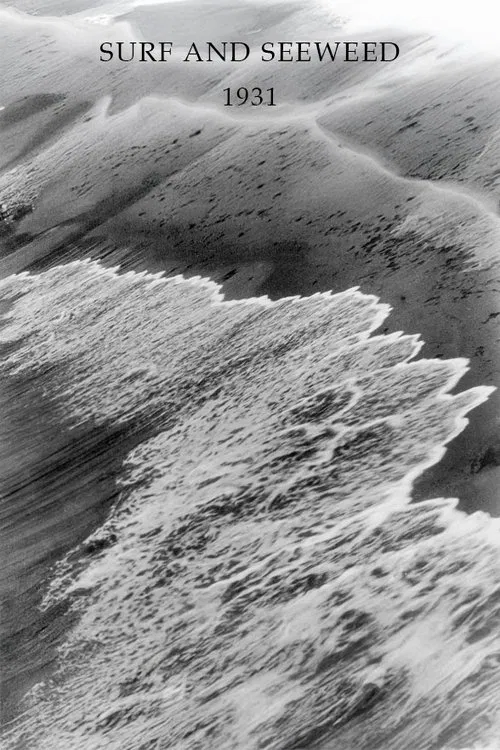 Surf and Seaweed movie poster