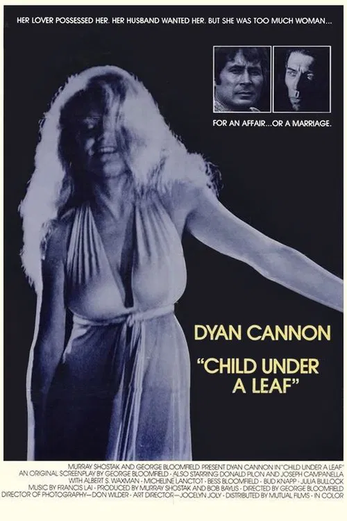 Child Under A Leaf movie poster