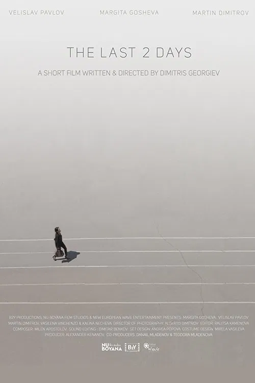 The Last 2 Days movie poster