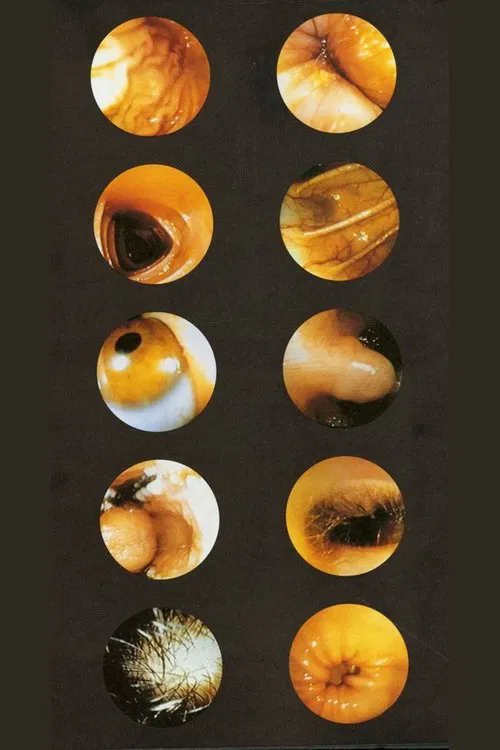 Corps Étranger movie poster