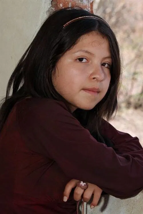 Andrea Vergara profile picture