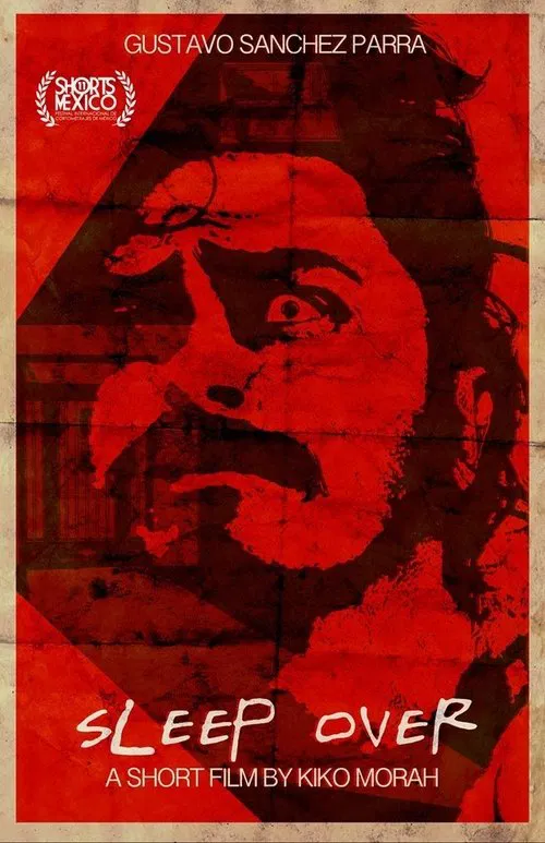 Sleep Over movie poster