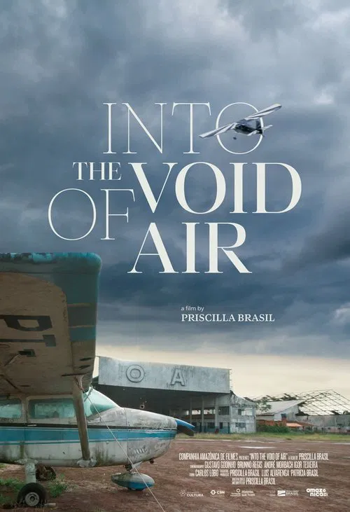 Poster do filme Into the void of air