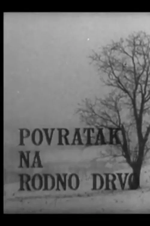 Back to His Native Woods movie poster