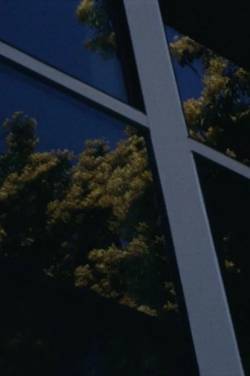 Recollection of a walk through Los Angeles movie poster