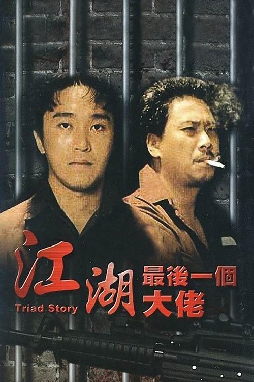 Triad Story movie poster
