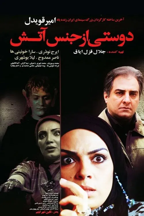 A Friend Made of Fire movie poster