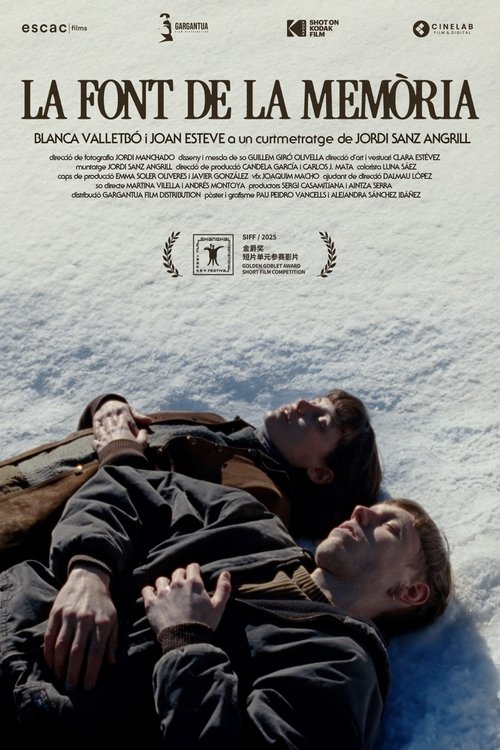 The Fountain of Memory movie poster