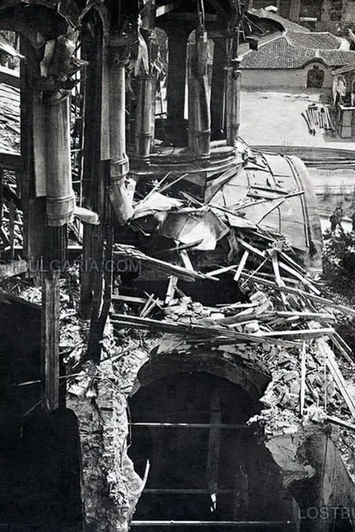 The Аssassination movie poster