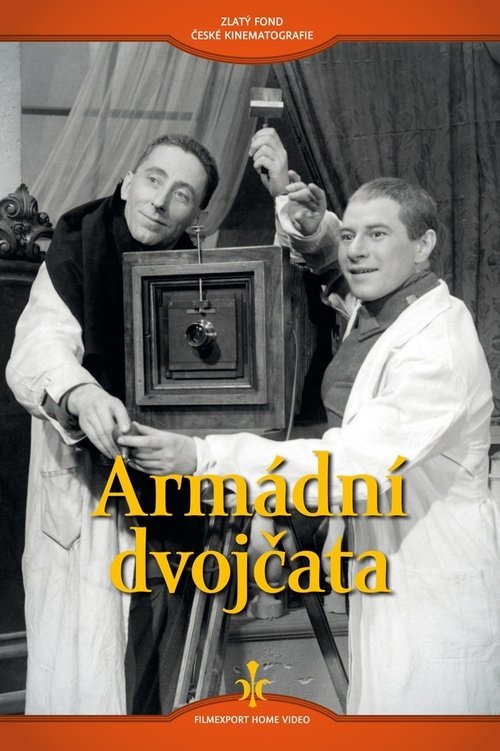 Armádní dvojčata movie poster
