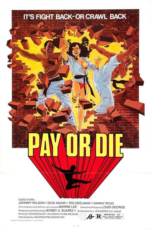Pay or Die movie poster