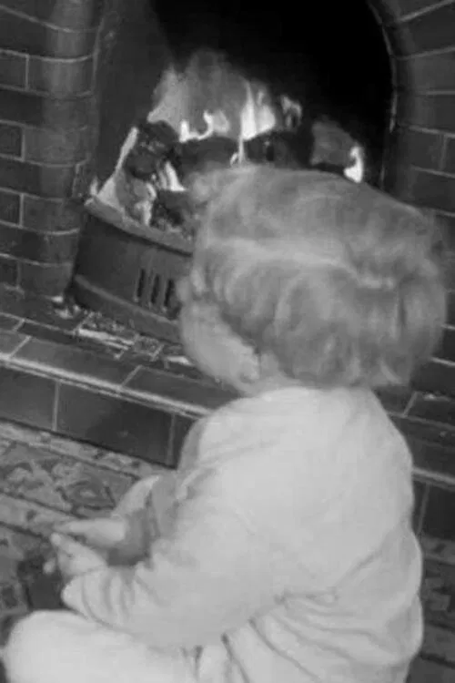 Poster do filme Playing with Fire