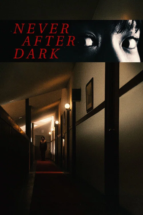 Never After Dark movie poster