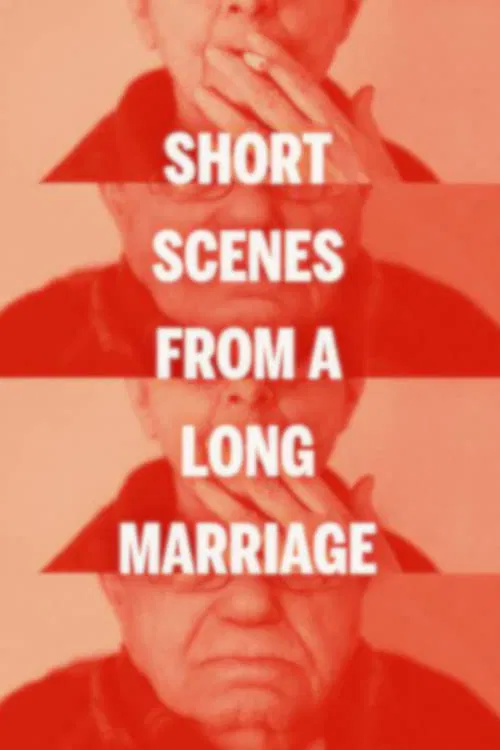 Short Scenes from a Long Marriage movie poster